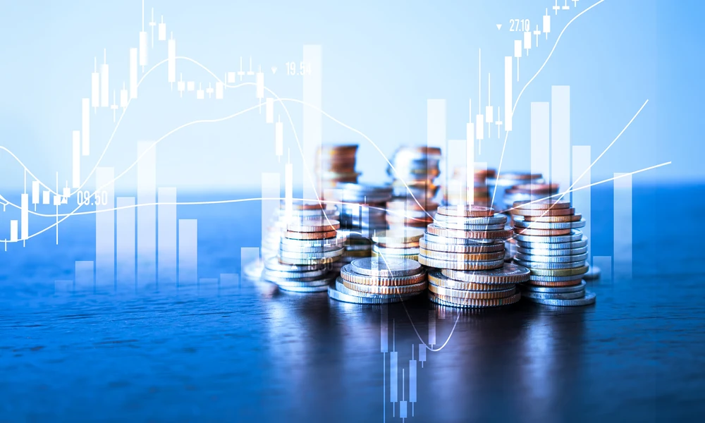 How Certified Public Accountants Support Nonprofit Organizations
